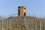 Landgüter Weingüter Toskana, Palaia Fattoria Villa Saletta - Il Torrino