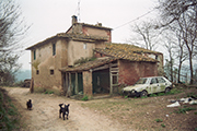 casa contadina, casa rurale Italia Toscana, Montefoscoli - podere La Casetta