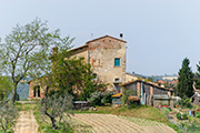 dimora casa rurale Italia Toscana, Fattoria Montefoscoli - Il Poggiale