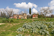 Italia tenute case rurali Toscana, Montefoscoli - Fattoria Vaccà Berlinghieri - podere Torricchio II