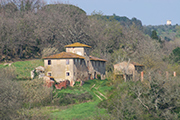 fattorie poderi case rurali Toscana, Fattoria Villa Saletta - podere casa rurale Mulinuccio
