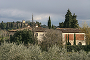  casa rurale Italia Toscana Pisa,  Podere S. Pietro - Usigliano di Palaia