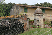casa rurale Toscana Italia, Montefoscoli - podere Torricchio I