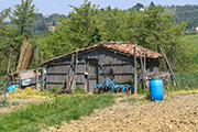 Toscana case rurali, capanna Montefoscoli