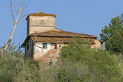 casa rurale Toscana, Montefoscoli - podere  Vignale