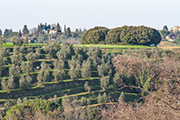 casa colonicha Toscana, podere Torricchio I - Montefoscoli