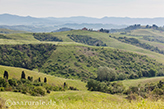Toscana paesaggio agrario
