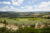 Landgut Chianti Toskana, Weinberg Italien