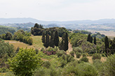 Italien Toskana Landgüter, Landschaft mit Zypressen Villa Saletta