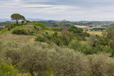 Landgüter Italien Toskana, Landschaft Landgut bei San Miniato