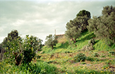 verlassenes Landgut in Sizilien
