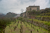 Italien Sizilien kleines Landgut Bauernhaus, Wein