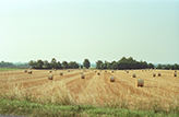 Landgüter Bauernhöfe Italien, Lombardei Landschaft Poebene, Strohballen, 