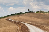 Landgüter Landgut Italien Toskana, toskanische Agrarlandschaft  Zypressen, Fotograf Toskana