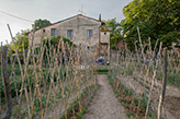 casa rurale Toscana - Montefoscoli, orto 