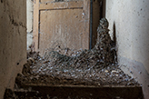 aufgetürmter Taubenkot, verlassenes Bauernhaus - Toskana