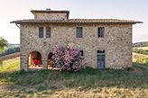  Landhaus Toskana kaufen, Landgut Bauernhaus Santa Elisabetta - Val di Pesa/Tavarnelle