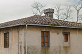 Bauernhaus Pepiniera, Landhaus Toskana - Valdelsa  / Castelfiorentino 
