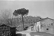 Landgut mit Bauernhaus Caivoli 1973 - Toskana