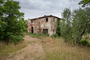 Landhaus La Nunziata in Toskana zwischen Olivenbäumen Frühjahr 2014