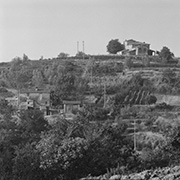 Landgut Il Poggiale von Montefoscoli/Toskana gesehen, Mischkulturen 1973