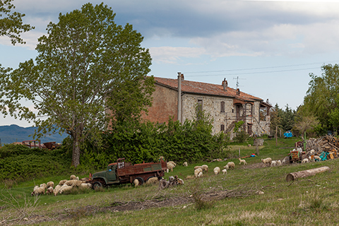 Landgut südlich Siena kaufen