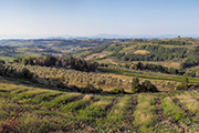 Landgut Toskana kaufen, Panorama mit Bauernhaus und Kulturen